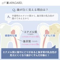 【数量限定企画品】サンギ アパガード プレミオ 金木犀&アプリコット 105g 薬用歯磨き ハミガキ 1本