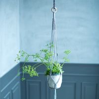 クロバー プラントハンガーゲージで作る お部屋を彩るプラントハンガー 71323 1セット(10P)（直送品）