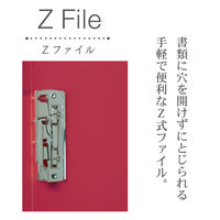 キングジム FV Zフアイル(透明) ネイ FV558Tネイ 1セット(10冊)