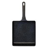 LIV PLUS 卵焼き器 23×25cm ガス火専用 でかすぎるフライパン ND-3901 1個（直送品）