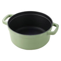 LIV PLUS CAROTE(カローテ) ココット鍋 24cm IH ホーロー アップルグリーン NM-5236 1個（直送品）