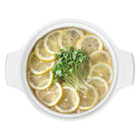 LIV PLUS 卓上鍋 16cm IH 蓋付 セラミック ビストロ・セラミック NQ-0411 1個（直送品）