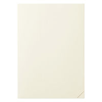 デザインフィル MDノート [A5] 1日1ページ ドット方眼罫B クリーム 15390006 1冊（直送品）