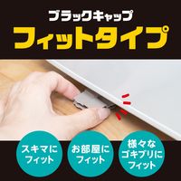 ゴキブリ 駆除剤 置き型 ブラックキャップ フィットタイプ 1箱（16個入） 殺虫剤 ゴキブリ退治 除去 アース製薬