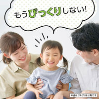 ゴキブリよけ 虫除け 予防 マモルーム ゴキブリ用 取替えボトル 2ヵ月用 2本入 1個 空間用 虫よけ 忌避 対策 室内 アース製薬