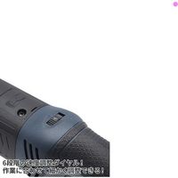 ワールドツール アストロプロダクツ AC100Vダブルアクションポリッシャー 2005000008627 1台 547-9055（直送品）