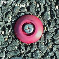 DAIDOHANT メジャーネイル(測量釘) No.04 9×100 赤マーク入 (50本入 ) 00008215 1箱(50本)（直送品）