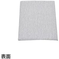 ワールドツール アストロプロダクツ AP 100×80サンディングペーパー#220(5枚入) 2026000012476 1個（直送品）