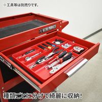 ワールドツール アストロプロダクツ AP プラスチックトレー レッド 2003000011111 1個 623-9326（直送品）