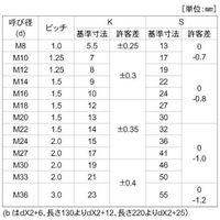 SUNCO 10.9 六角ボルト 細目 16×20(1.5 (1本入) B0-00-0404-0160-0200-00-1P 1袋(1本)（直送品）