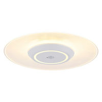 アイリスオーヤマ LED小型シーリングライト パネルライト 人感センサー付き 電球色 SCL190L-MS-P 1個（直送品）