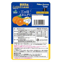 モントワール JAみっかび 三ヶ日みかんグミ 4580530495997 1セット(36g×10個)（直送品）