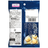 亀田製菓 堅ぶつ 旨塩 4901313251072 1セット(55g×10個)（直送品）