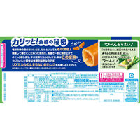 亀田製菓 亀田の柿の種 わさび 4901313204689 1セット(164g×12個)（直送品）