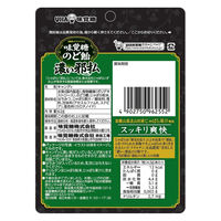 UHA味覚糖 味覚糖のど飴 濃い邪払 4902750962552 1セット(62g×6個)（直送品）
