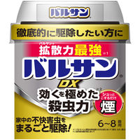 バルサン DX煙6ー8畳用 1パック（3個入） レック