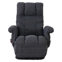 平インテリア産業 回転高座椅子 ミュート 折り畳み式 ブラック SS-260HS-BK 1台（直送品）