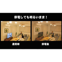 日本防災スキーム 防災用電球 coconimo tsuita(昼白色) E17NW40WS 1個（直送品）