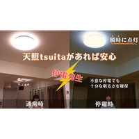 日本防災スキーム 防災用シーリングライト 天照(アマテラス)tsuita TC102 1個（直送品）