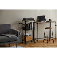 アイリスオーヤマ カラーメタルラック ワゴン 幅500×奥行310×高さ840ｍｍ ブラック 1台（直送品）