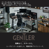 【軒先渡し】コイズミファニテック GENTLER ガジェットボックス 幅550×奥行123×高さ64mm ホワイトウォッシュ×ブラック 1台（直送品）