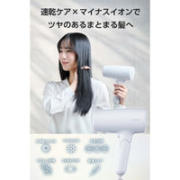 ドライヤー 速乾 大風量 マイナスイオン 静電気低減 低温ケアモード搭載 ブルーグレー TD461A-H テスコム 1個（直送品）