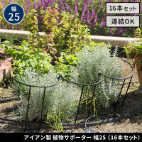 住まいスタイル アイアン製植物サポーター幅25 16本セット IF-N0049-16P 1セット(16本入)（直送品）