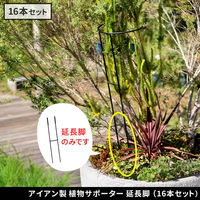 住まいスタイル アイアン製植物サポーター延長脚 16本セット IF-N0051-16P 1セット(16本入)（直送品）