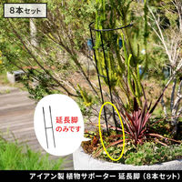 住まいスタイル アイアン製植物サポーター延長脚 8本セット IF-N0051-8P 1セット(8本入)（直送品）