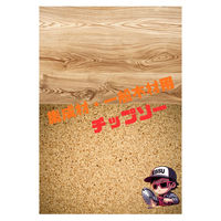 エビスファスナー エビスチップソー 集成材・一般木材用 125mm EFW125 1パック(2枚)（直送品）