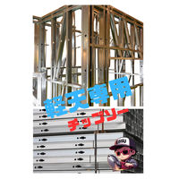 エビスファスナー エビスチップソー 軽天下地用 185mm EFT185 1パック(2枚)（直送品）