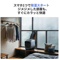 ECOFLOW ポータブルエアコン WAVE 3 EFWAVE3-JP-NBox 1台（直送品）