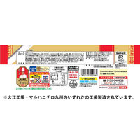 マルハニチロ [冷凍] 横浜あんかけラーメン 452g 4902165002485 1個(452g)（直送品）