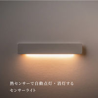 ムサシ かげあかり01 白練 KA-01SN 1個（直送品）