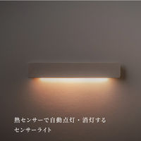 ムサシ かげあかり01 蕎麦切 KA-01SK 1個（直送品）