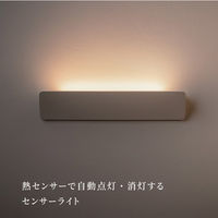 ムサシ かげあかり02 白練 KA-02SN 1個（直送品）