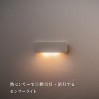 ムサシ かげあかり04 白練 KA-04SN 1個（直送品）