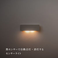 ムサシ かげあかり04 蕎麦切 KA-04SK 1個（直送品）