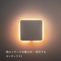 ムサシ かげあかり03 蕎麦切 KA-03SK 1個（直送品）