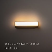 ムサシ かげあかり05 梅墨 KA-05UZ 1個（直送品）