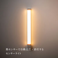 ムサシ かげあかり06 白練 KA-06SN 1個（直送品）