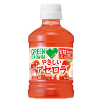 サントリーフーズ GREEN DA・KA・RA やさしいアセロラ 280ml 1セット（48本）