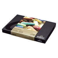 ターレンスジャパン レンブラントソフトパステルハーフスティック60色セット 473458 1個（直送品）