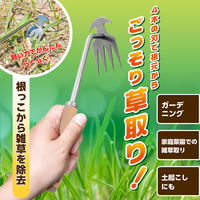 武田コーポレーション 草取り片手鍬 KTT-30 1箱(48個入)（直送品）