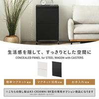 武田コーポレーション キャスター付きスチールワゴン用隠し板 LN-H6-KKSWH 1箱(4個入)（直送品）