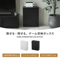 武田コーポレーション ゲーム収納ボックス コンセント付き LN-H6-TS50WH 1箱(4個入)（直送品）