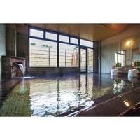 ユナイテッドスペース EXETIME GREEN(2年期限) 25024001 1個（直送品）