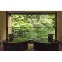 ユナイテッドスペース EXETIME VIOLET(無期限) 25039001 1個（直送品）