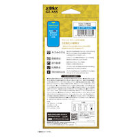 サンクレスト iPhone17(2眼)対応 2度強化ガラス さらさら防指紋 i39FGLAGW 1個（直送品）