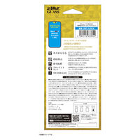 サンクレスト iPhone17(2眼)対応 2度強化ガラス ブルーライトカット i39FGLBLW 1個（直送品）